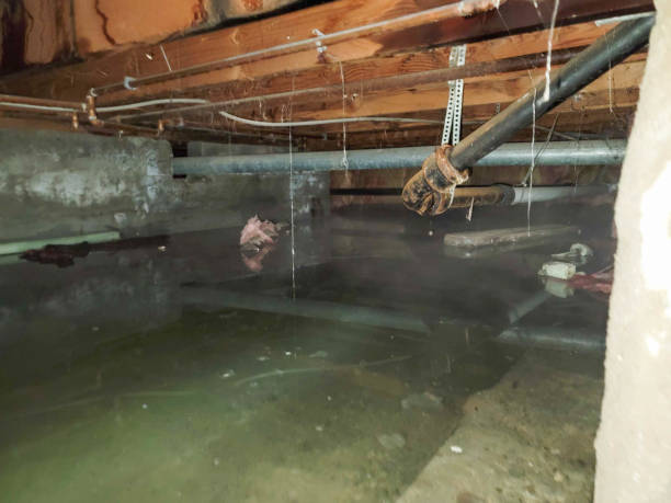 Best Sewage cleanup and water damage restoration  in East Dennis, MA