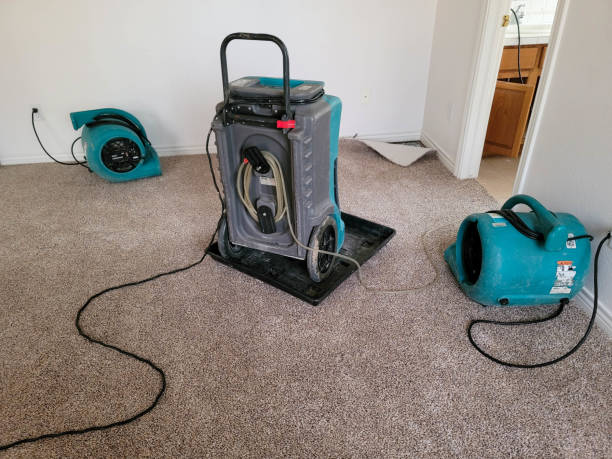 Best Carpet water damage restoration  in East Dennis, MA