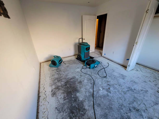 Best Water damage restoration near me  in East Dennis, MA