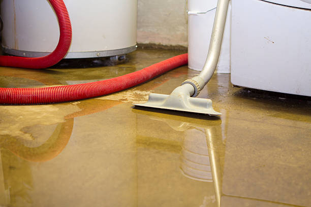 East Dennis, MA Water damage restoration Company