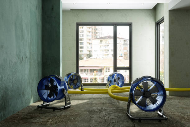 Best Mold removal after water damage  in East Dennis, MA