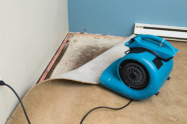 Best Ceiling water damage repair  in East Dennis, MA